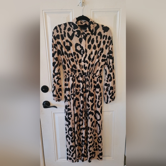 Asos leopard dress size small - Picture 1 of 4